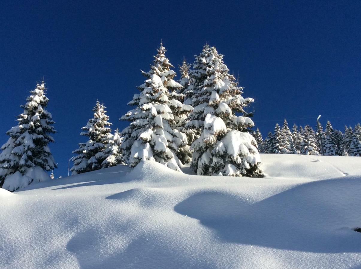 Chalet 13 Personnes-Le Vanvolet Les Saisies Exteriér fotografie